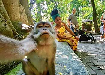 Bali ATV Ride Monkey Forest Tour