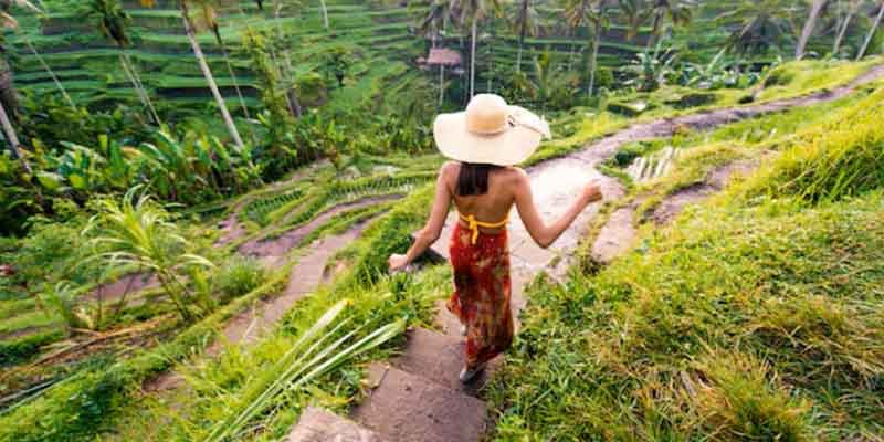Ubud Kintamani Full Day Tour